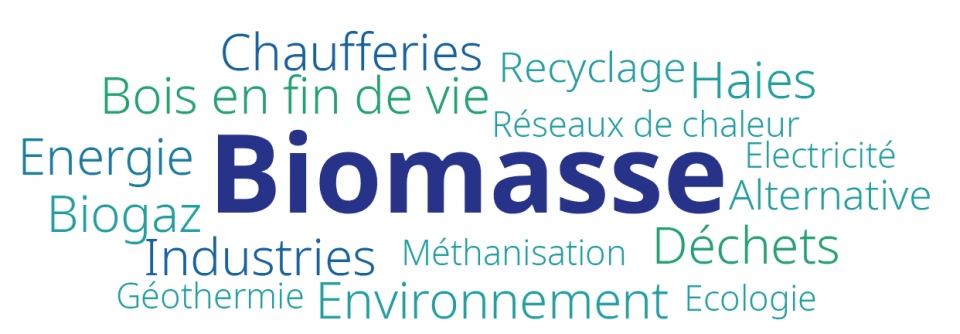 Schéma Régional Biomasse