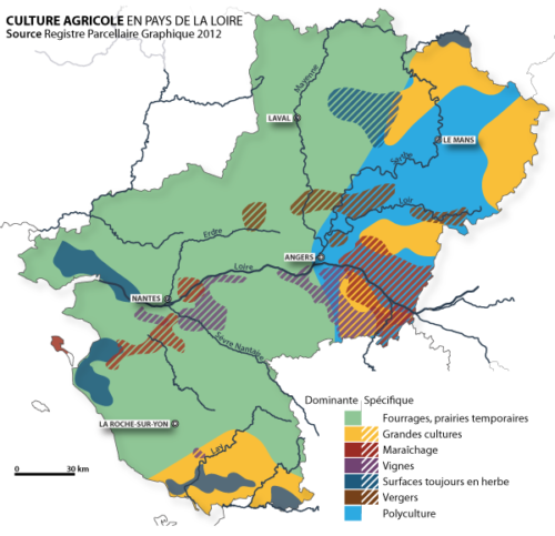 Cultures agricoles en Pays de la Loire